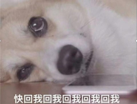 为什么那么多舔狗?如何能不做舔狗? 为什么那么多舔狗?如何能不做舔狗?第2张